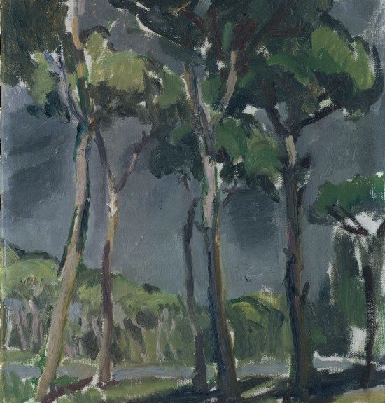 obrazek_751 Jan Autengruber (1887 – 1920)