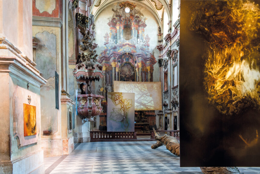 Andere Seite studio: Zjevení přírody & Salon ASSociace Kubinstadt