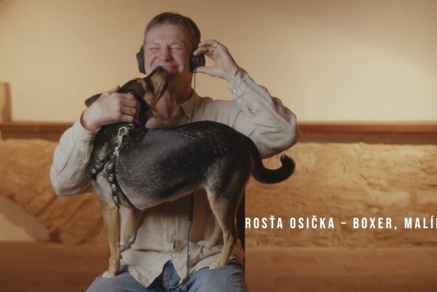 Videopozvánka na vernisáž výstavy Rosťa Osička – boxer, malíř, básník