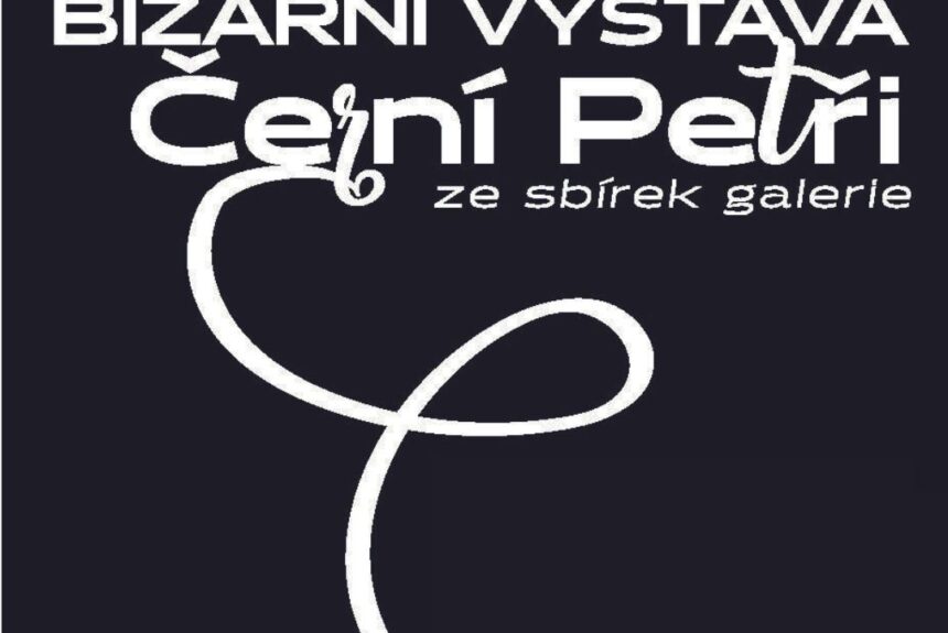 Bizarní výstava Bizarní výstava – Černí Petři ze sbírek galerie