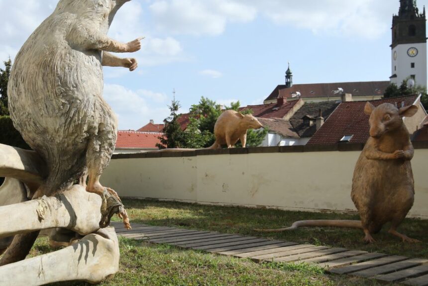 Kryštof Hošek: Revolution Evolution! Kryštof Hošek: Revolution Evolution!