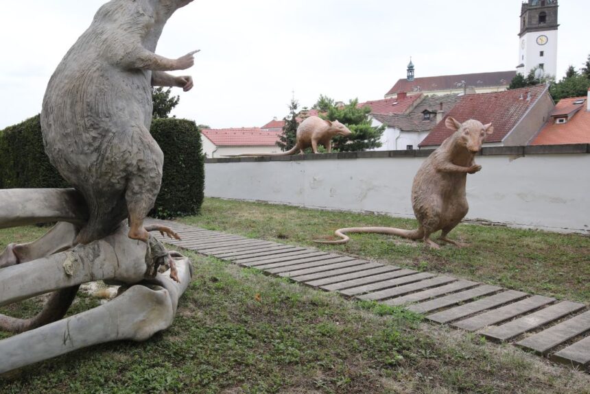 Kryštof Hošek: Revolution Evolution! Kryštof Hošek: Revolution Evolution!