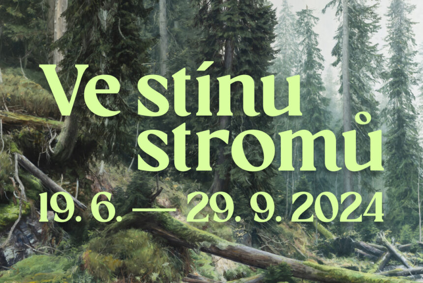 Ve stínu stromů Ve stínu stromů