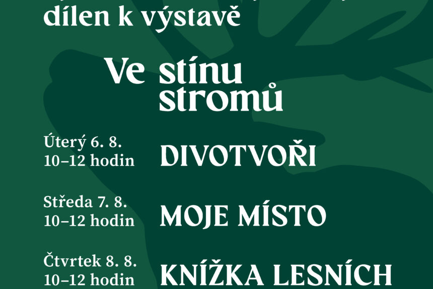Cyklus letních výtvarných dílen k výstavě Ve stínu stromů