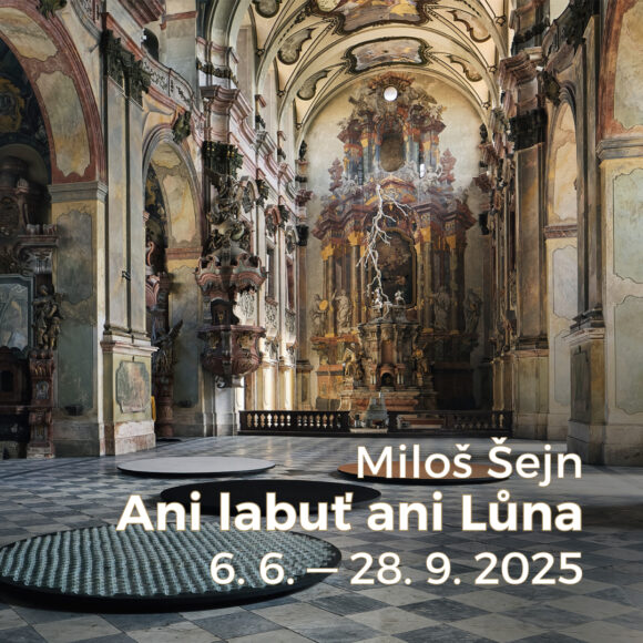 Vernisáž výstavy Miloše Šejna – Ani labuť ani Lůna