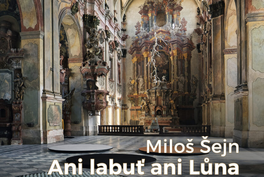 Miloš Šejn – Ani labuť ani Lůna Miloš Šejn – Ani labuť ani Lůna