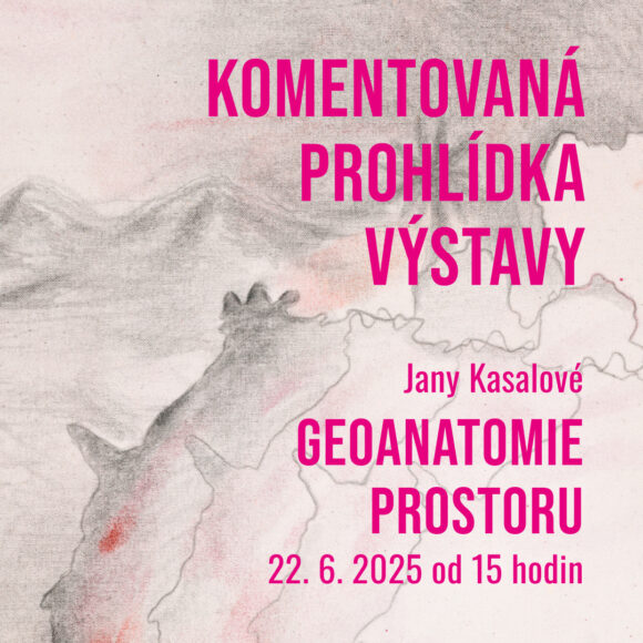 Závěrečná komentovaná prohlídka výstavy Jany Kasalové: Geoanatomie prostoru v neděli 22. 6. 2025
