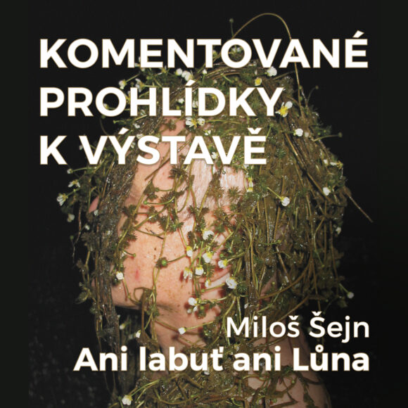 Komentované prohlídky výstavy Miloše Šejna – Ani labuť ani Lůna