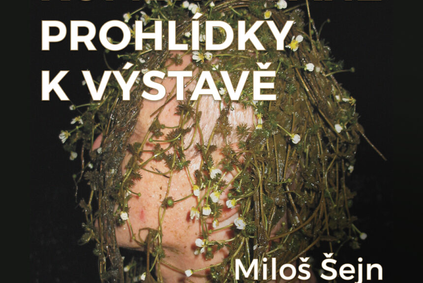 Komentované prohlídky výstavy Miloše Šejna – Ani labuť ani Lůna