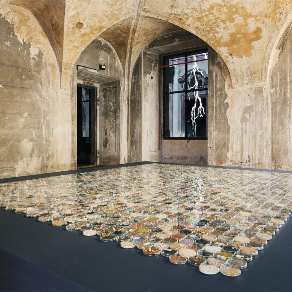 Poslední komentovaná prohlídka výstavy Miloše Šejna – Ani labuť ani Lůna – sobota 27. 9. 2025