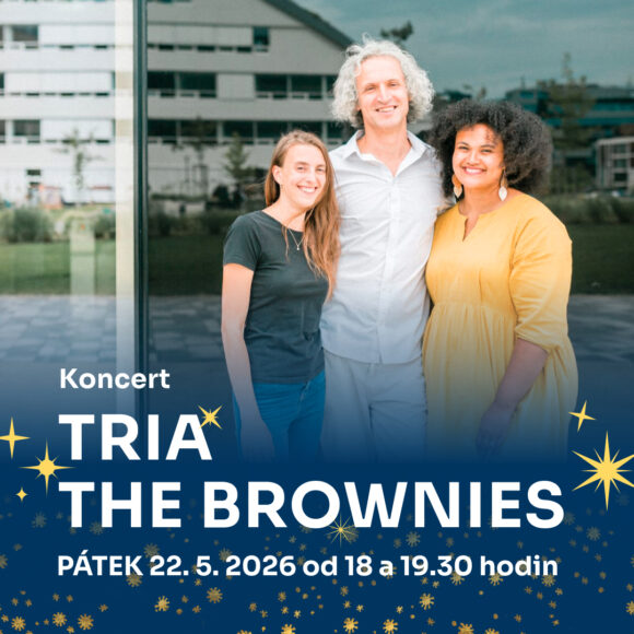 Litoměřická muzejní noc – The Brownies: koncert