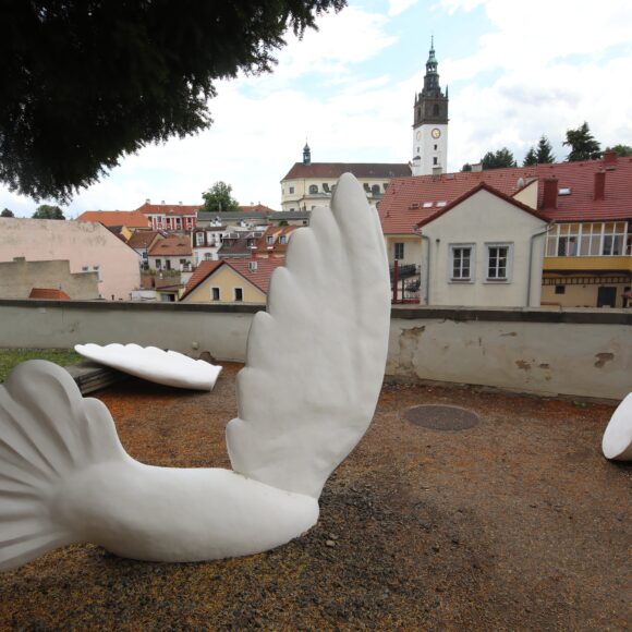 Otevírací doba během státních svátků